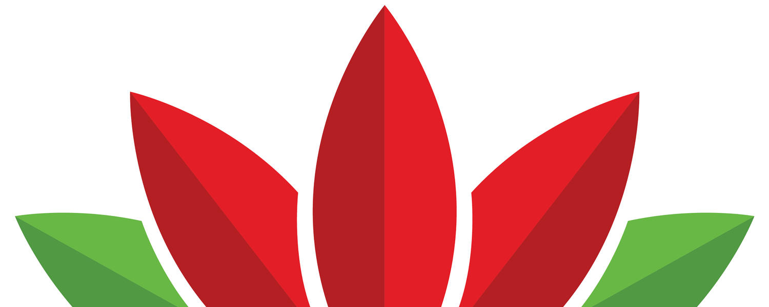WISHES Logo