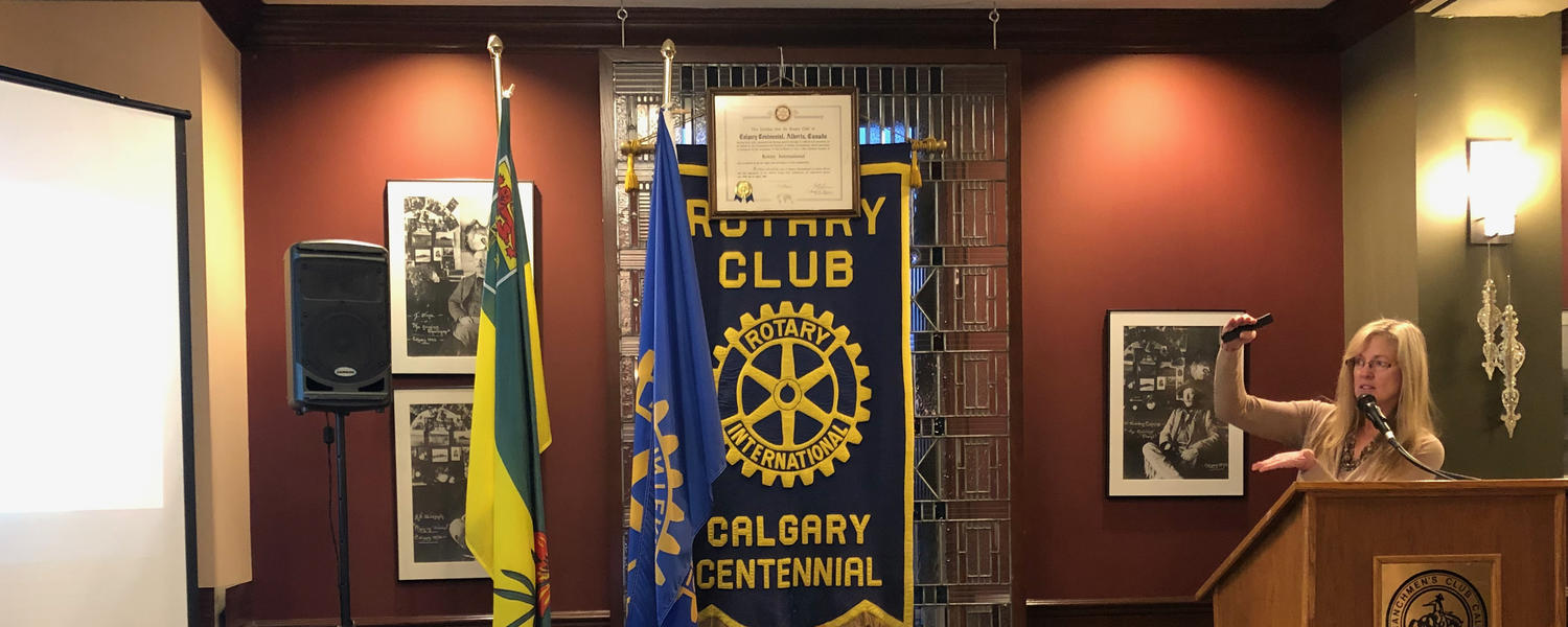 Linda Andersen speaking to a Rotary Club about the Calgary Normative Study.