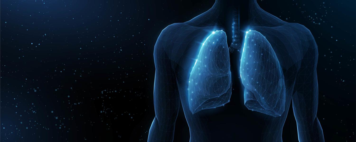 Lungs