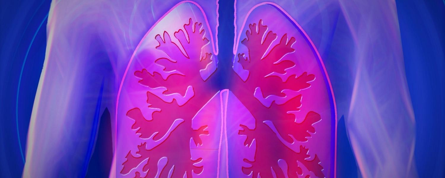 Lungs