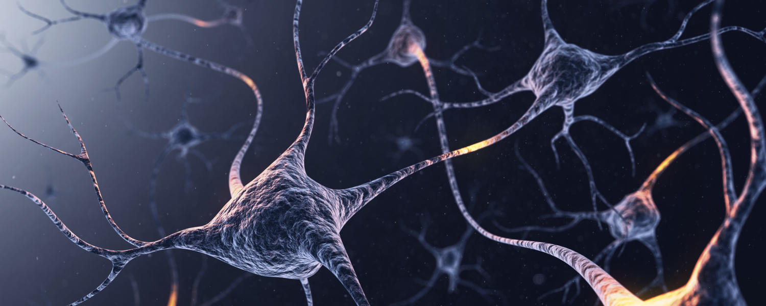 Stroke and Brain Function Research (SBFR)