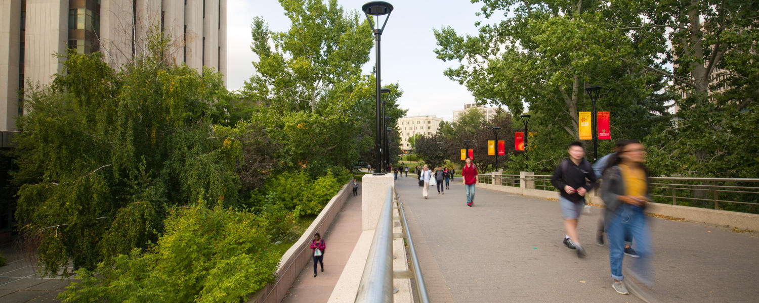 Photo of people walking on U of C Main Campus 