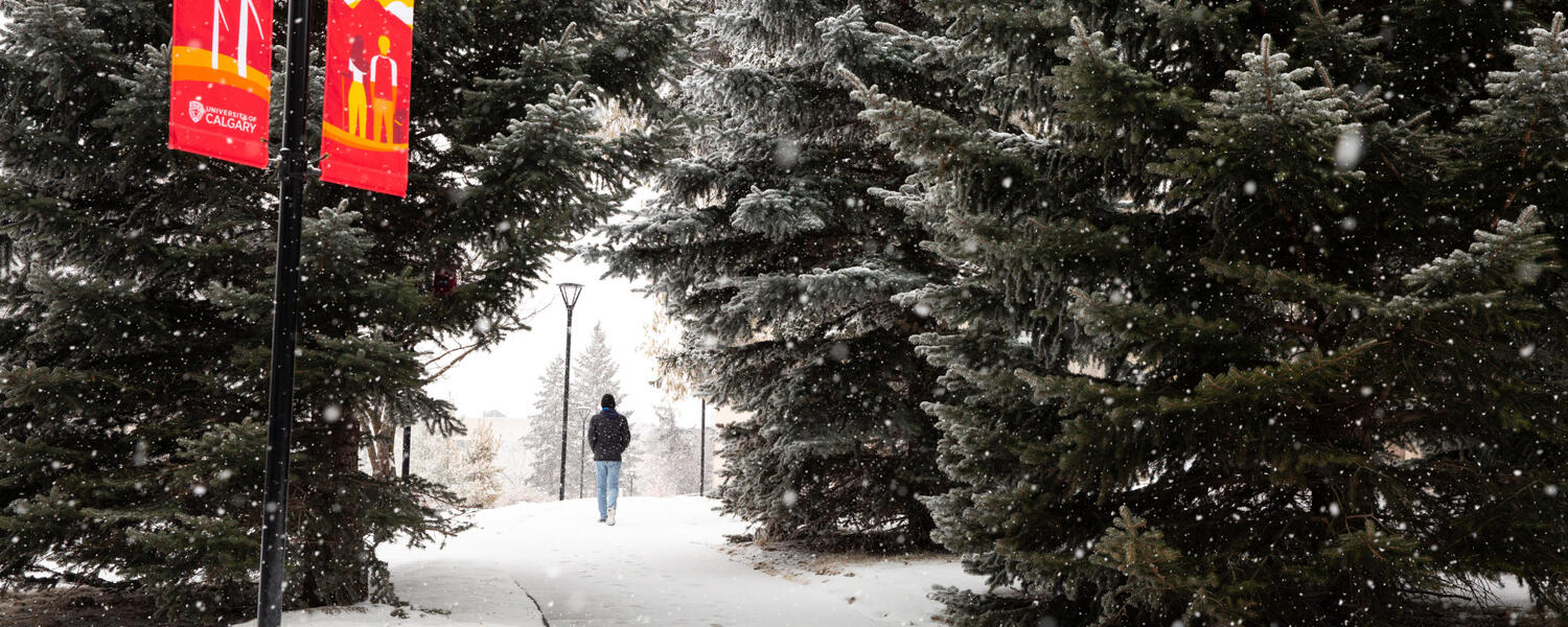 Campus pathway in Winter