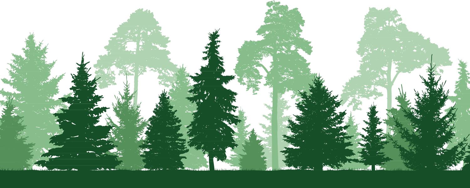 Variety of trees layered in three shades of green