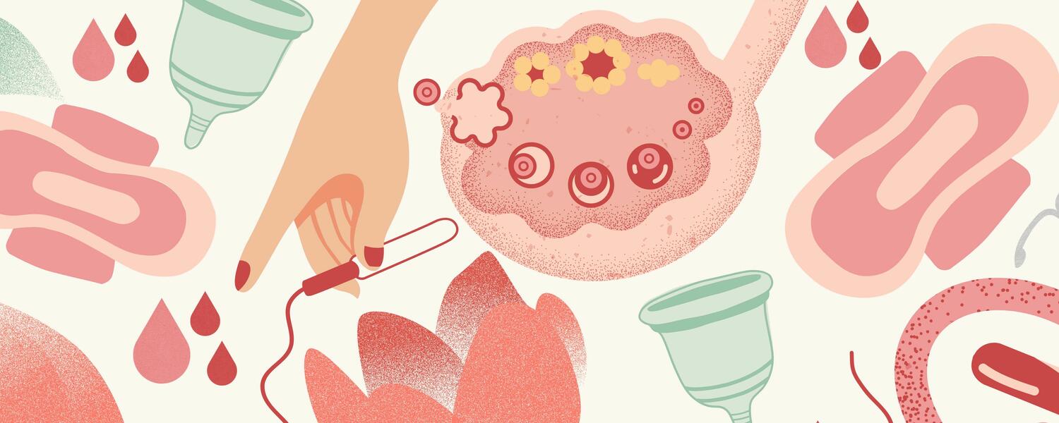 Image of various menstrual hygiene products and related anatomy