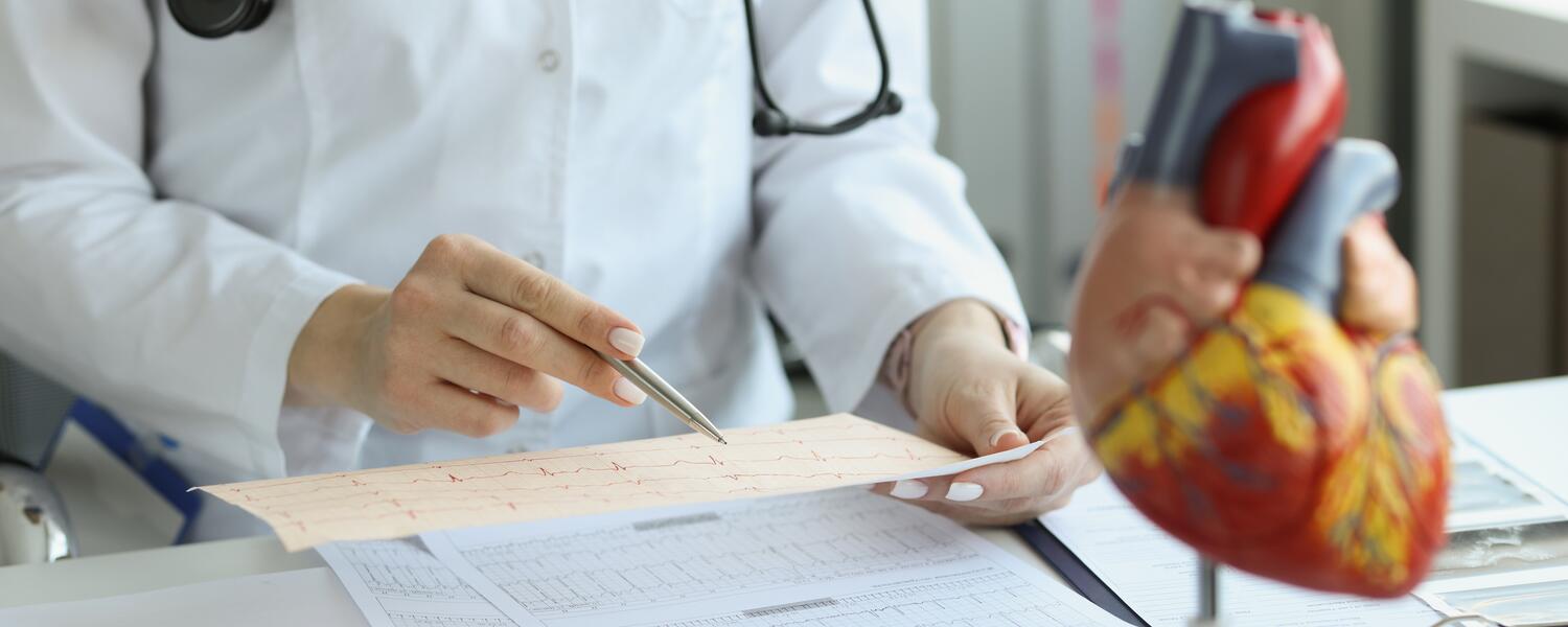 Researcher looking at results with model heart in foreground