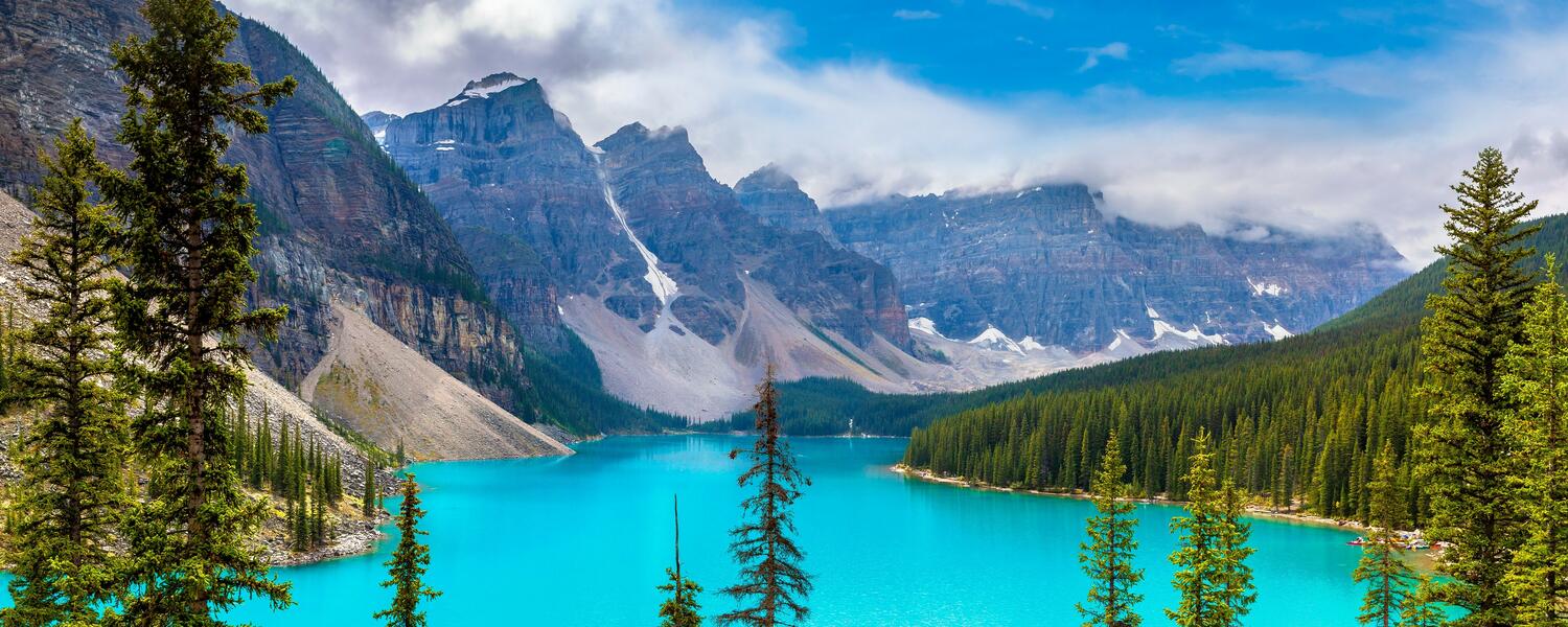 QI and Accreditation Committee