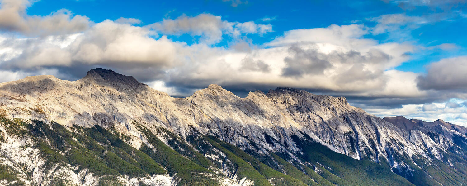 QI and Accreditation