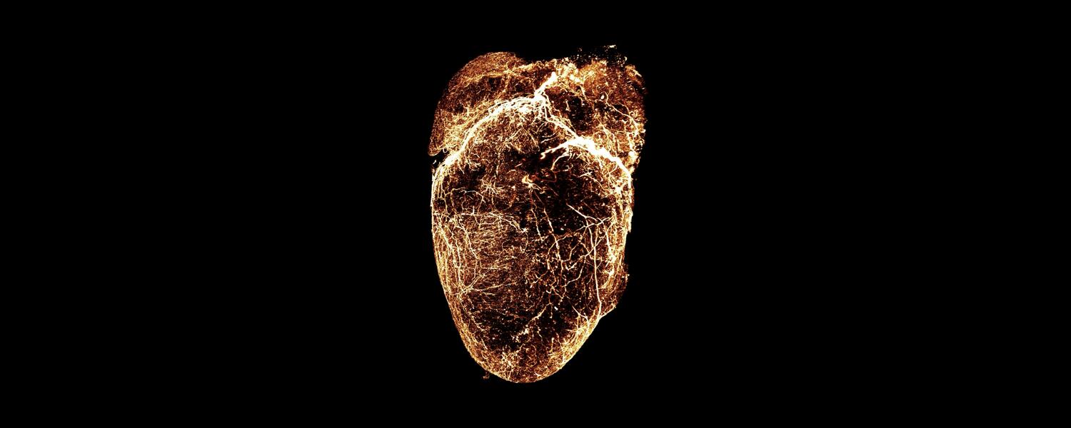 centre heart
