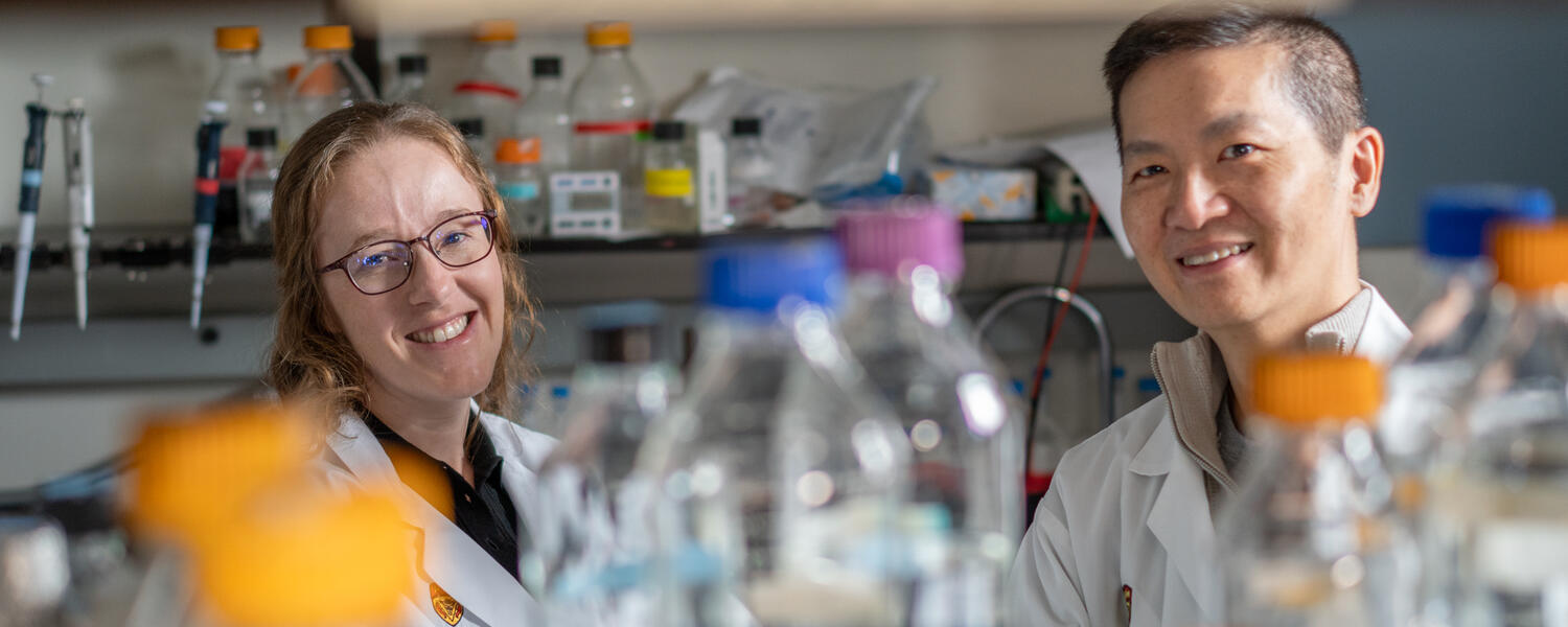 Section of Translational Neuroscience