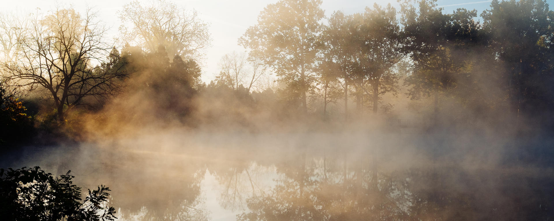"Misty Morning" by Conal Gallagher is licensed with CC BY 2.0. To view a copy of this license, visit https://creativecommons.org/licenses/by/2.0/"
