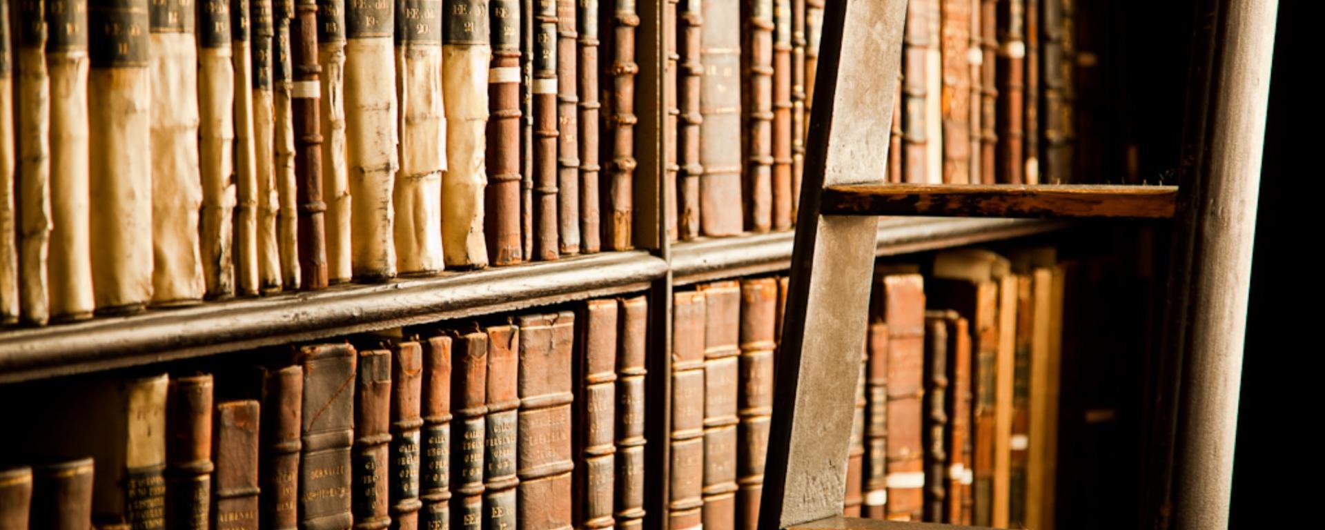 Shelf full of old archives, ladder in front
