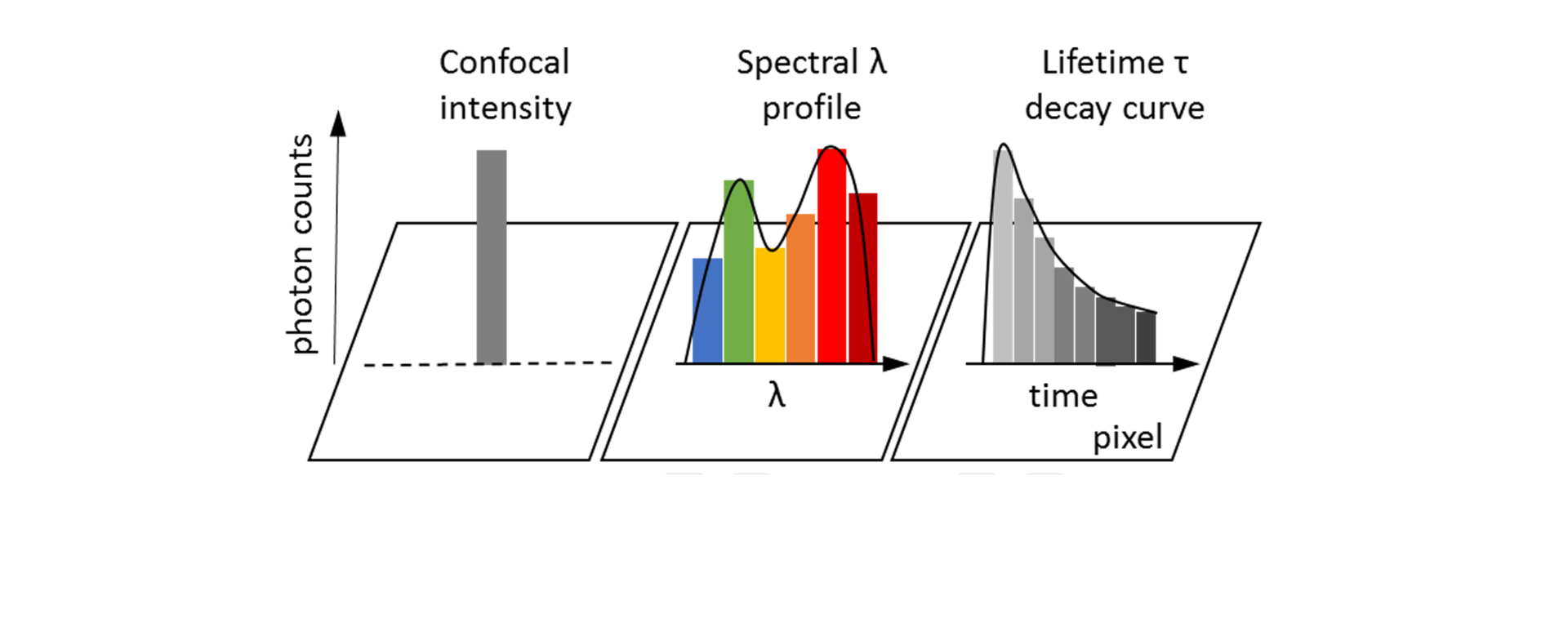 Single pixel information - Comparison between standard confocal, spectral, and flim imaging modes
