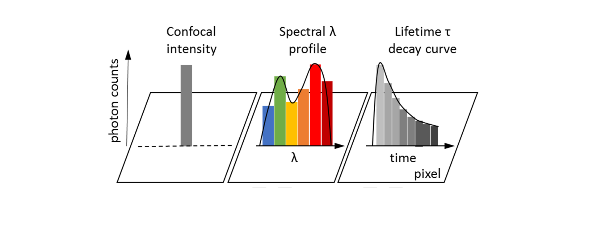 Single pixel information - Comparison between standard confocal, spectral, and flim imaging modes