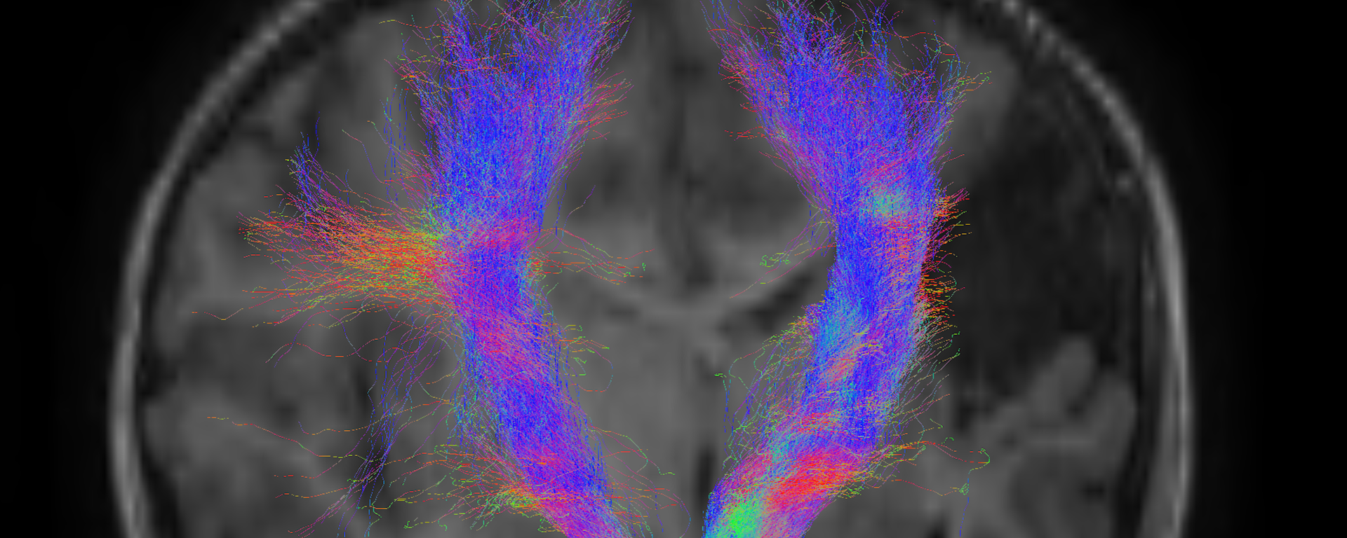 Additional Online Resources