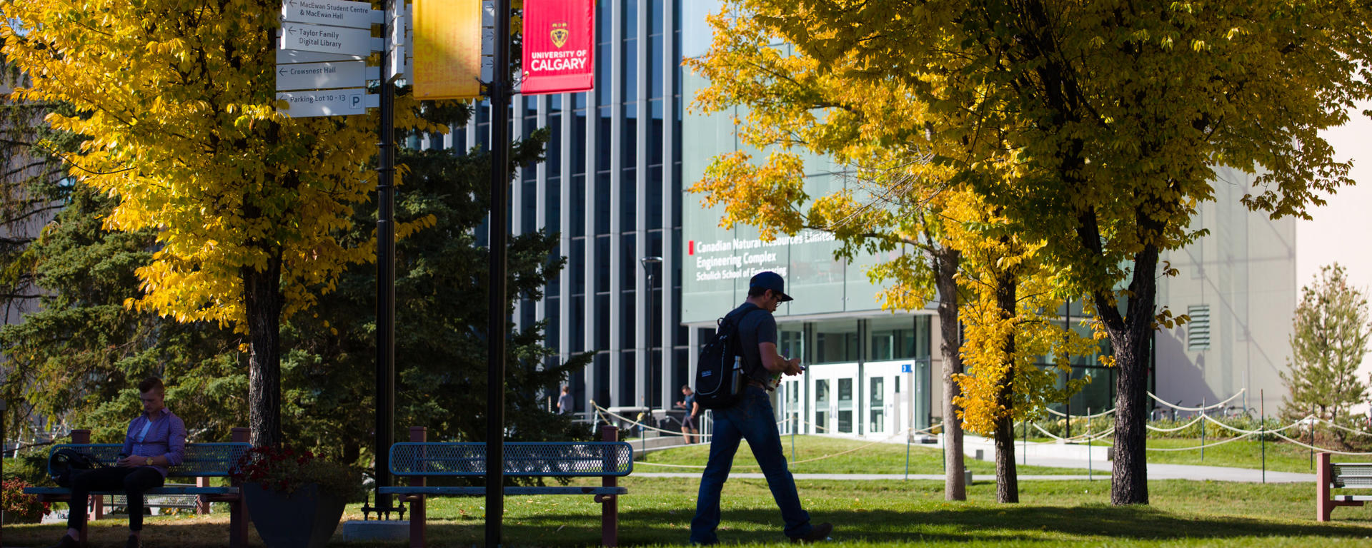 Fall at the U of C Main Campus