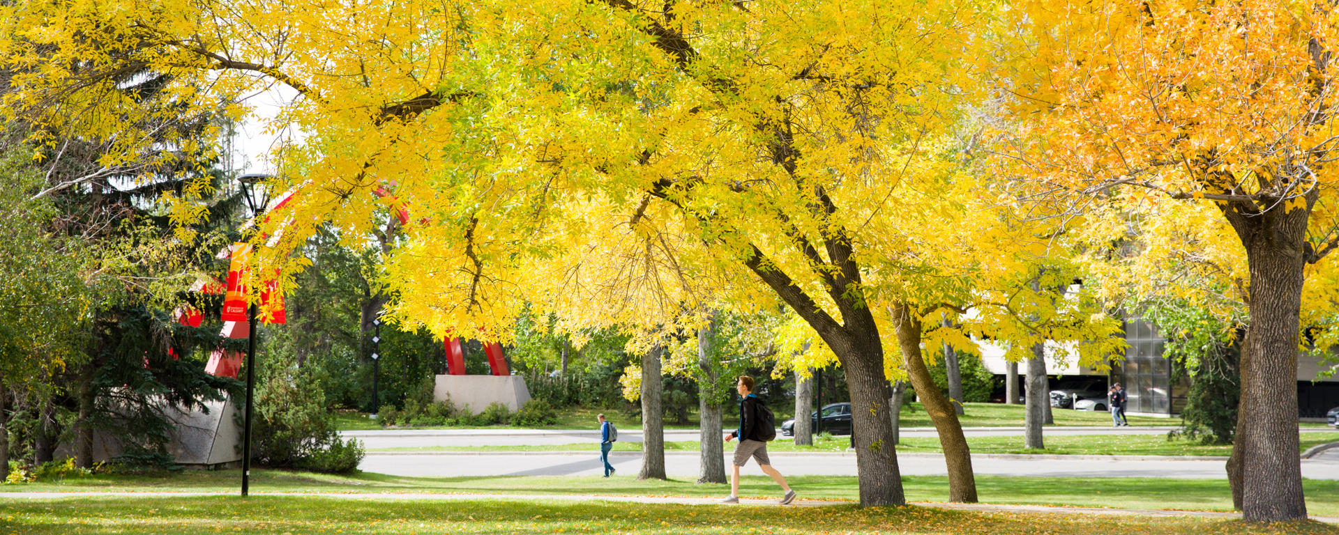 Fall at the U of C Main Campus