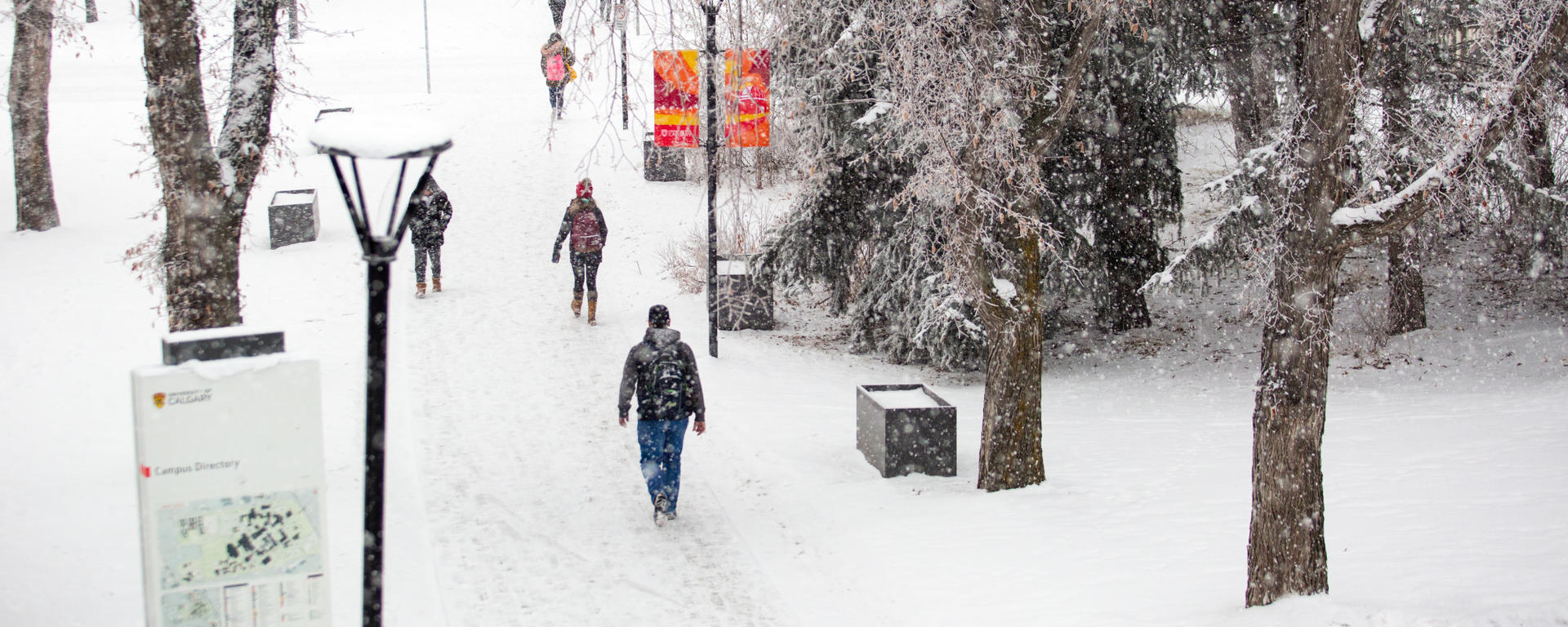 People walking on U of C Main Campus through several inches of snow. There are trees and benches along the pathway, 