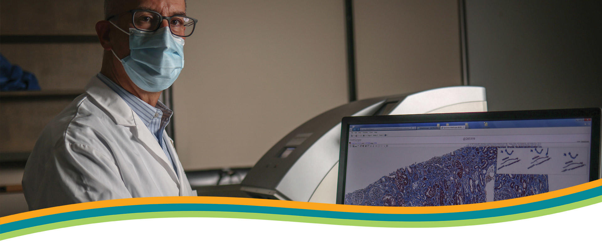 Department of Medicine Nephrology Banner