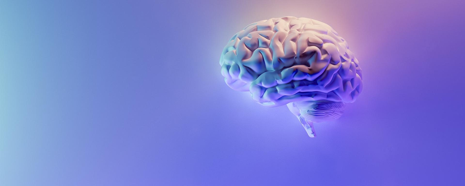 Hypothalamic Harmatoma: A lifelong syndrome!