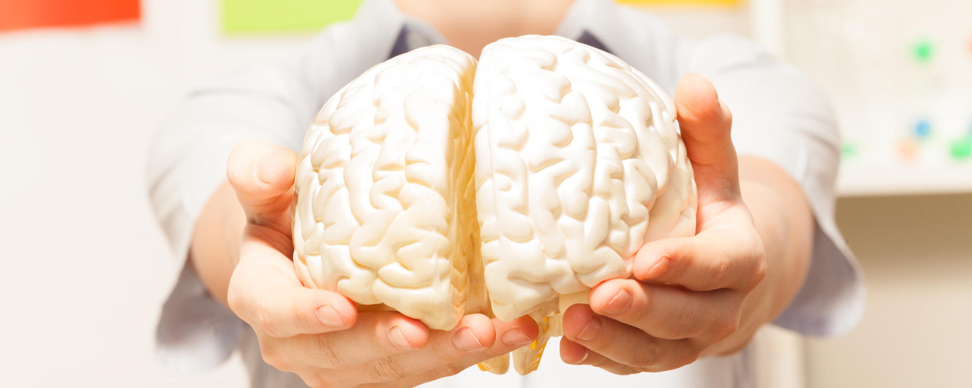 boy holding plastic brain