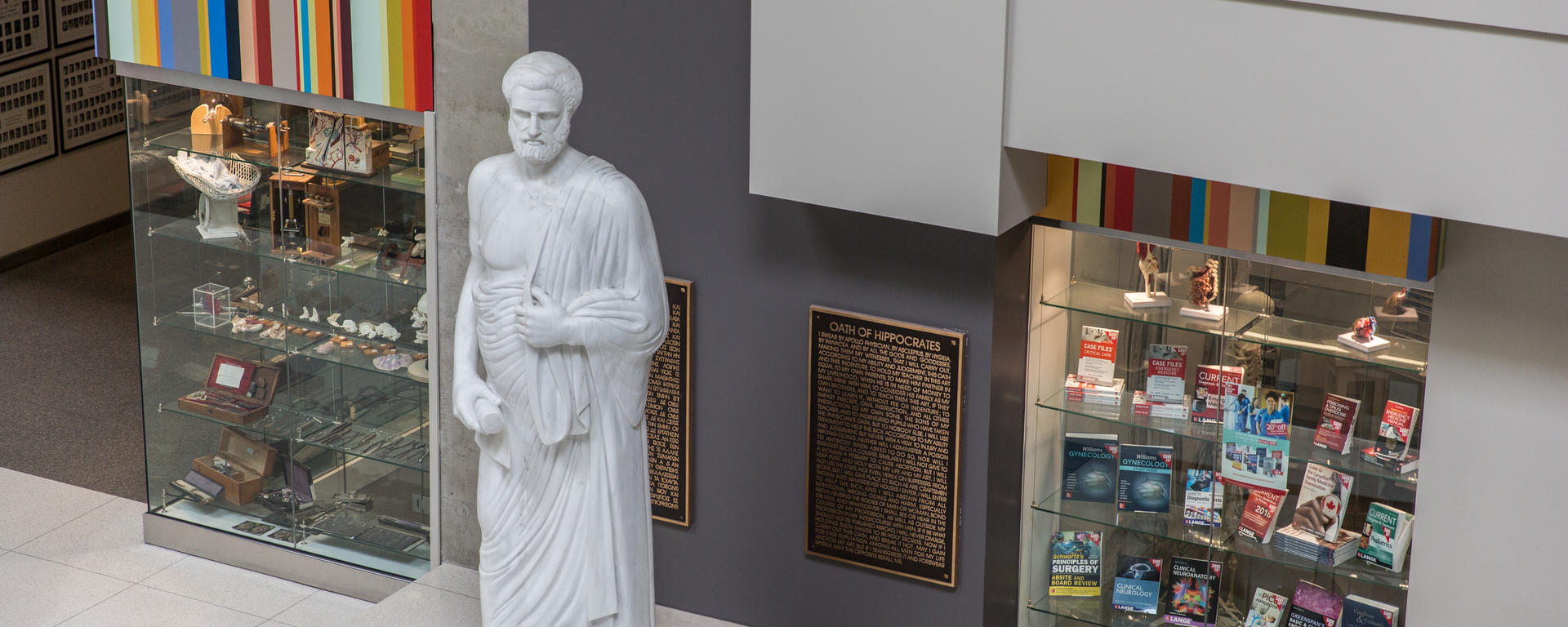 Hippocrates statue and bookstore at Cumming School of Medicine 