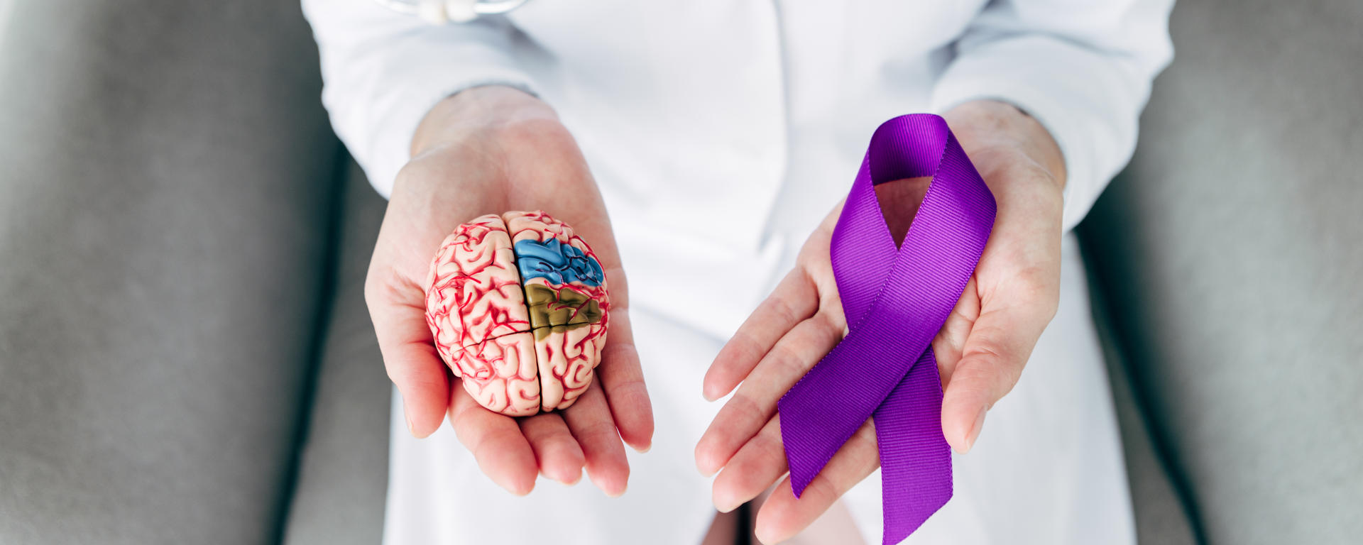 hands holding a toy brain and purple ribbon