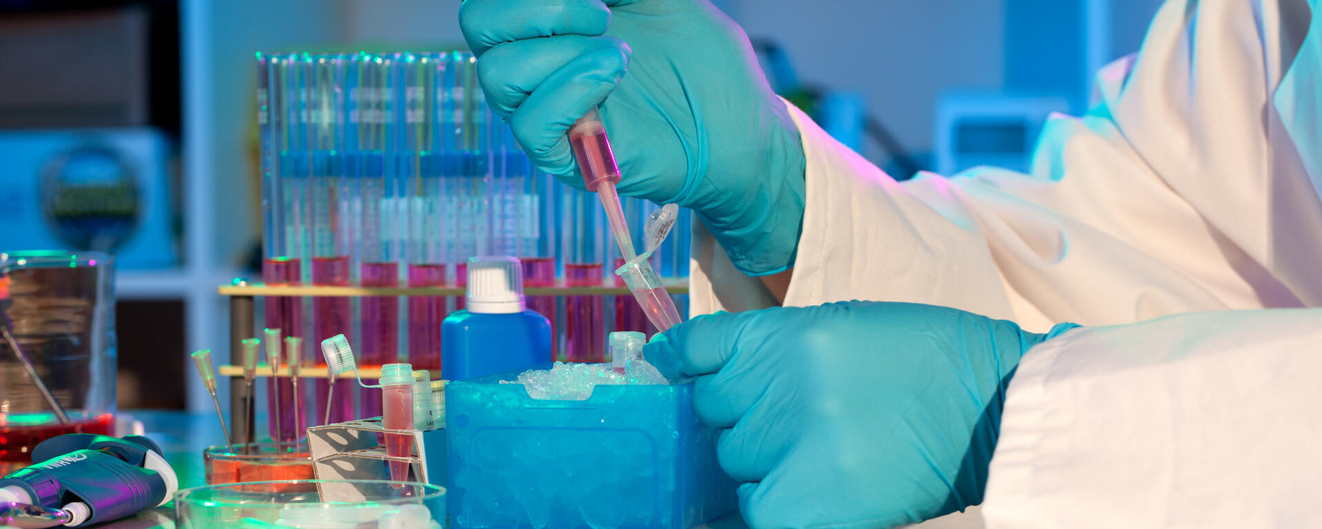 person working in a research lab
