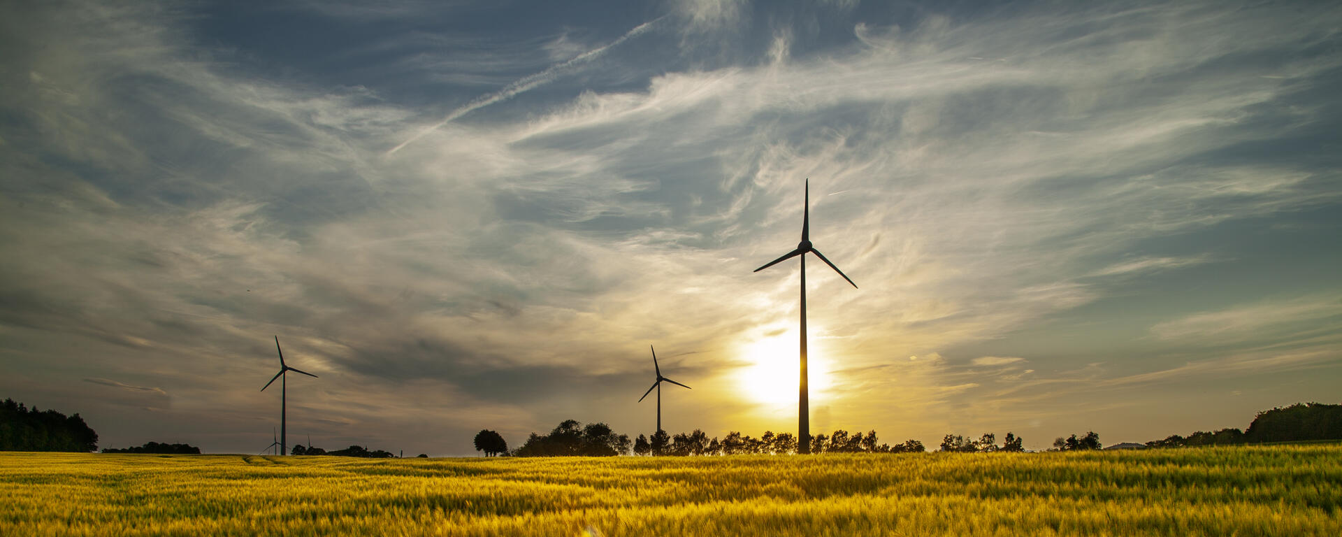 Wind Turbines In Field
