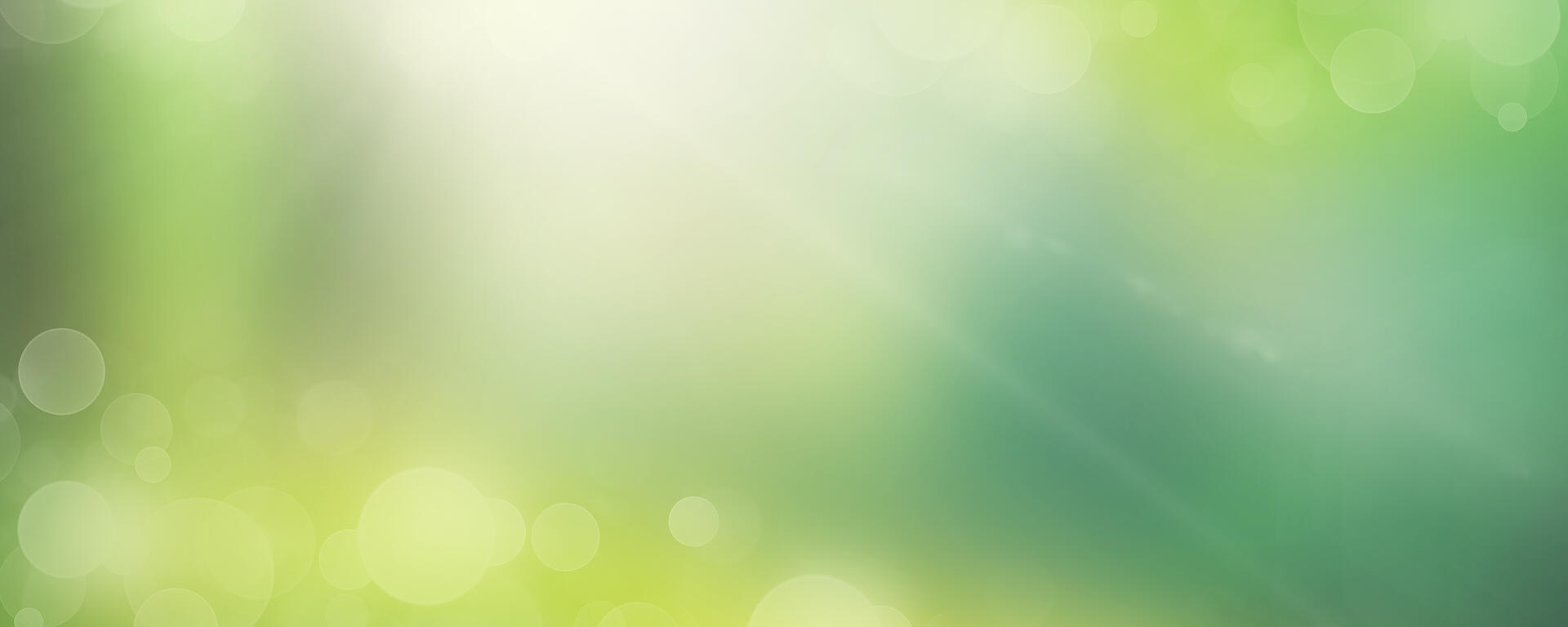 A multitude of shades of green are blurred with circular light spots, showing where the sun is hitting the lens