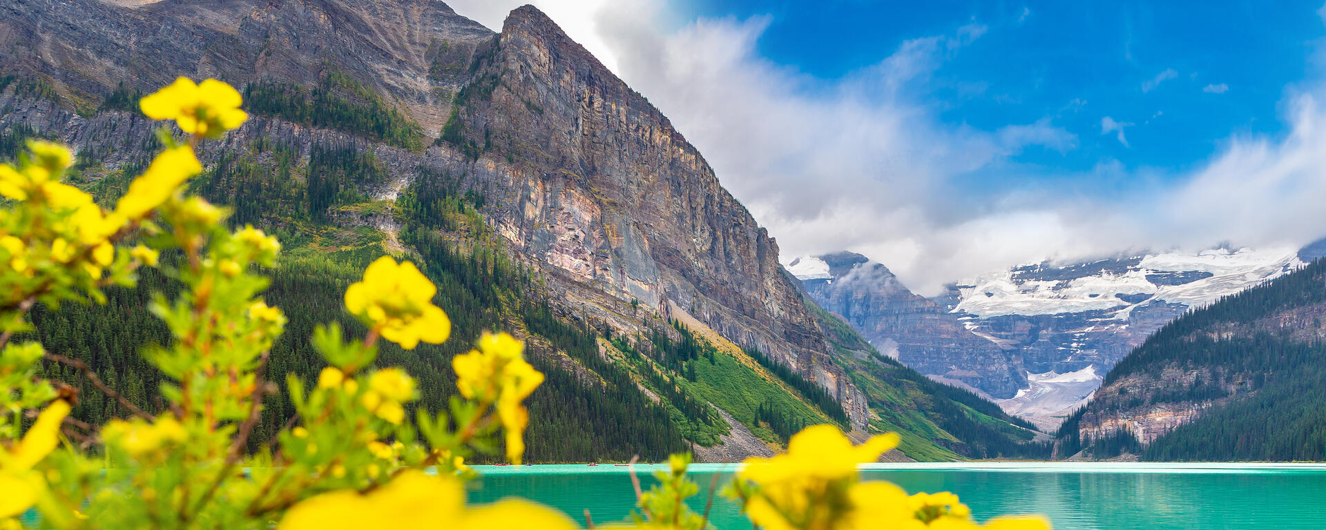 Yellow flowers are in the foreground of the photo. In the background is a turquoise lake with mountains 