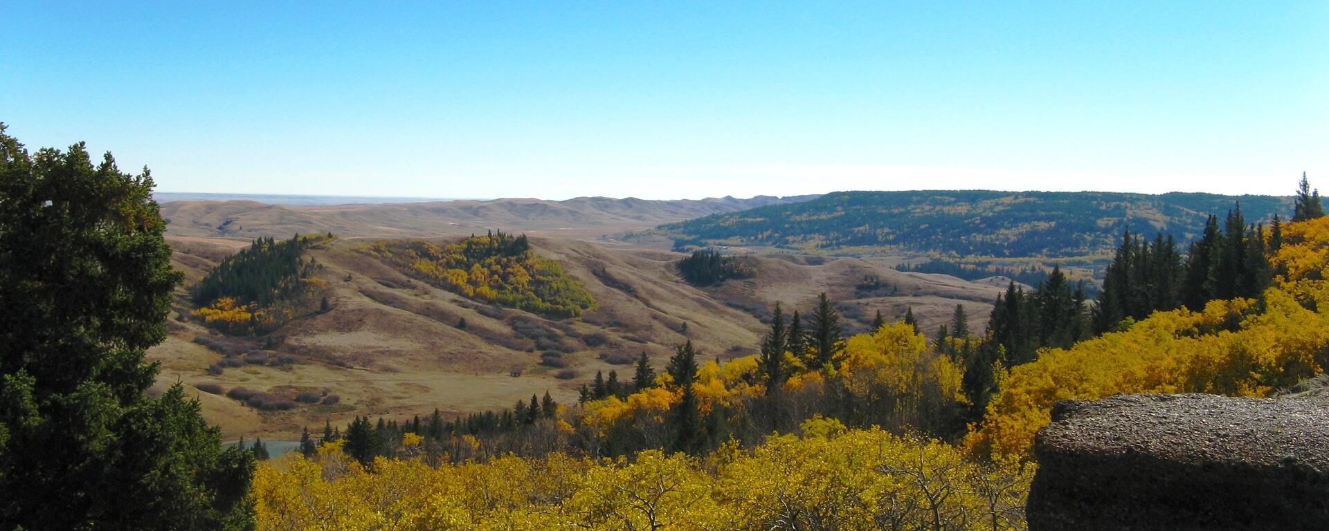 Cypress Hills, Alberta