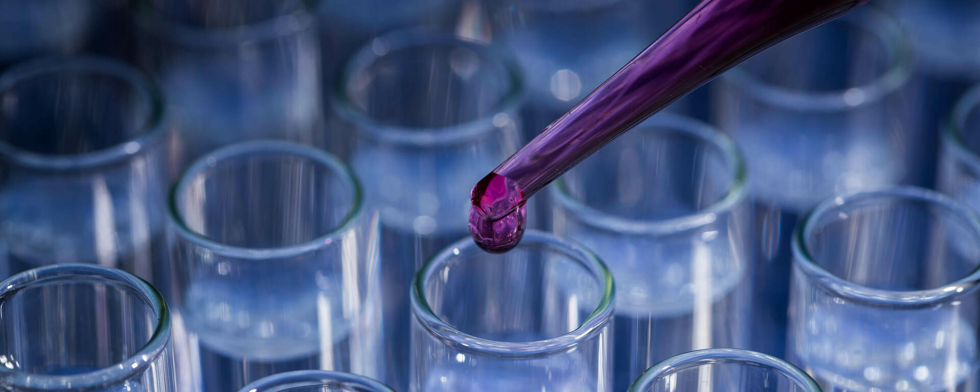 picture of test tubes and a pipette
