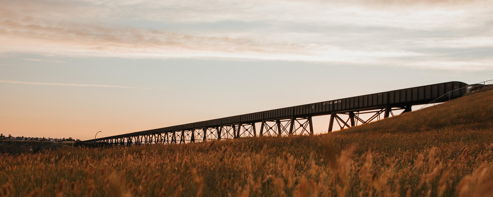 bridge