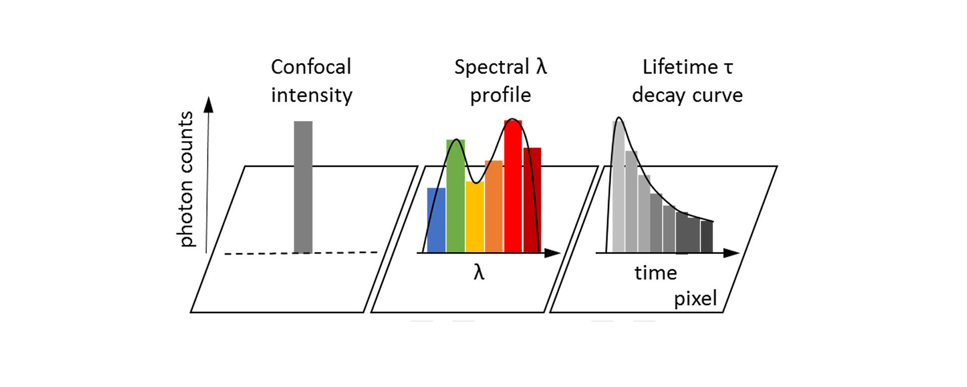 Intensity vs Spectral vs FLIM
