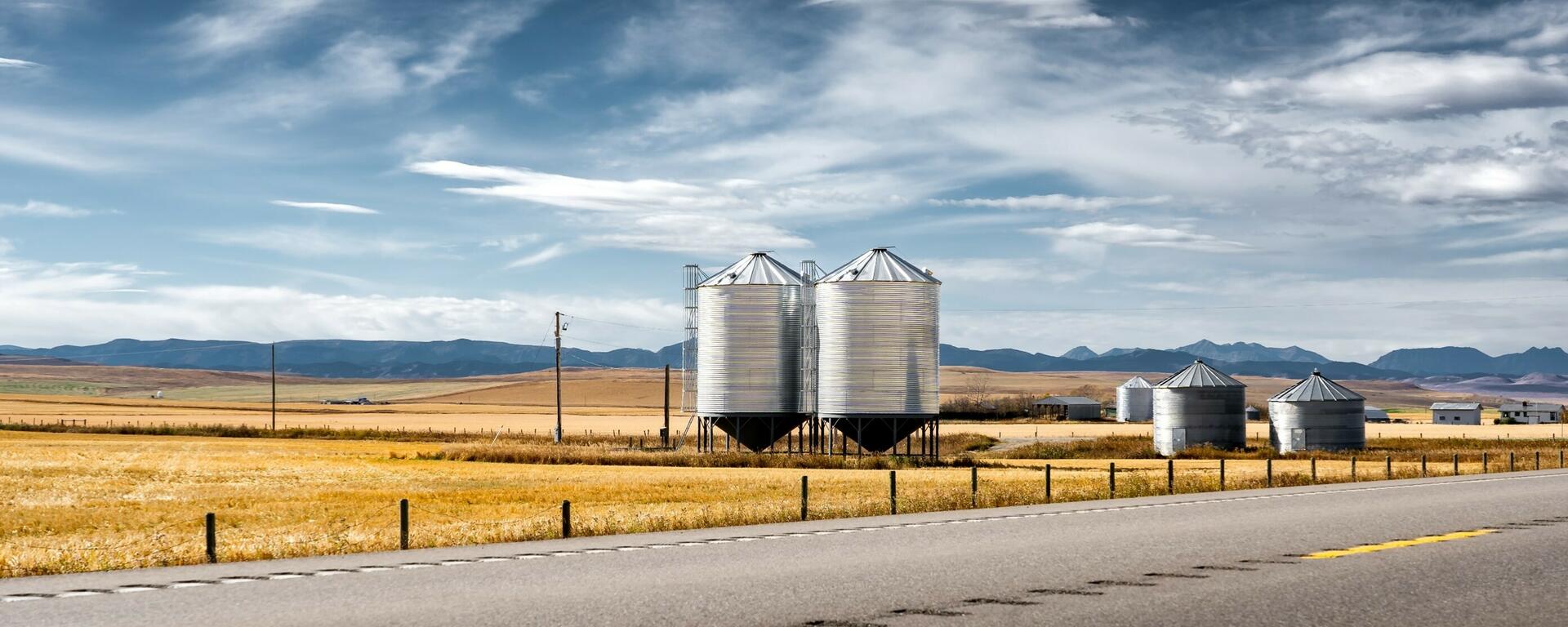 Corn field silos in the middle of a wheat field