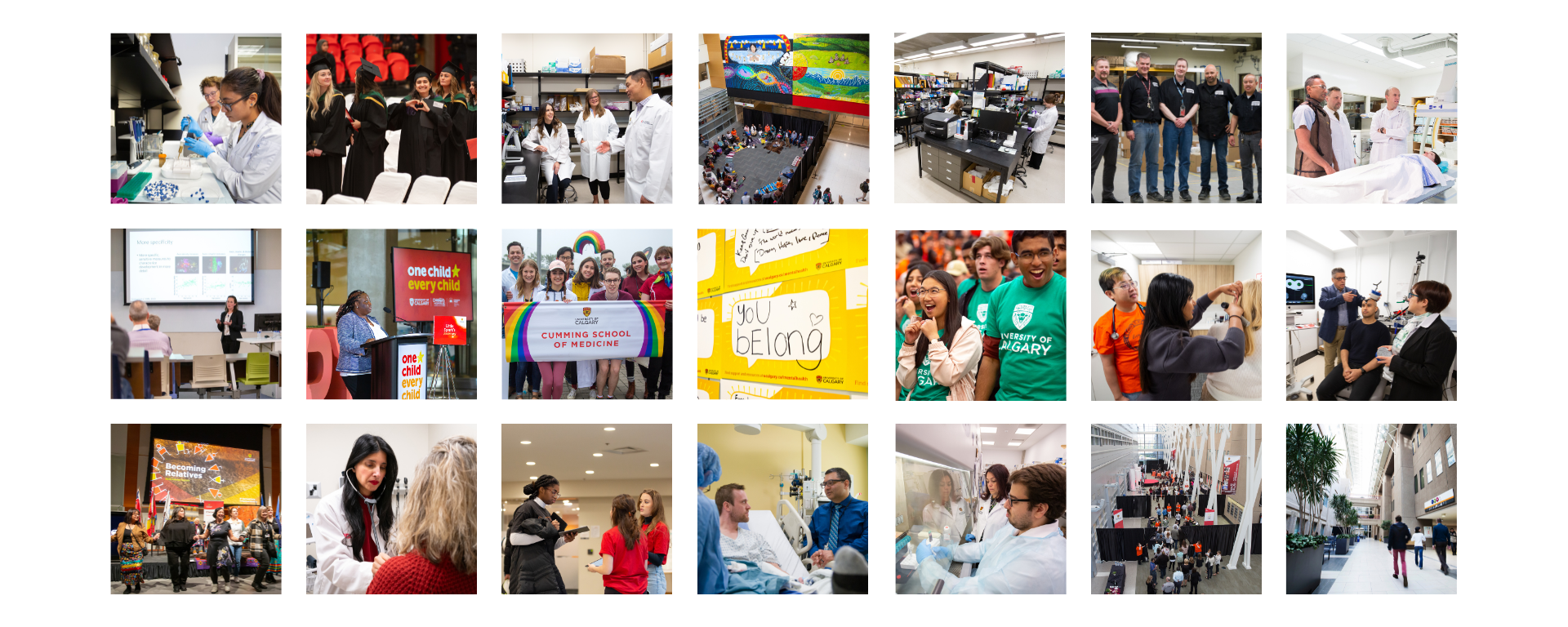 Mosaic of photographs of CSM members