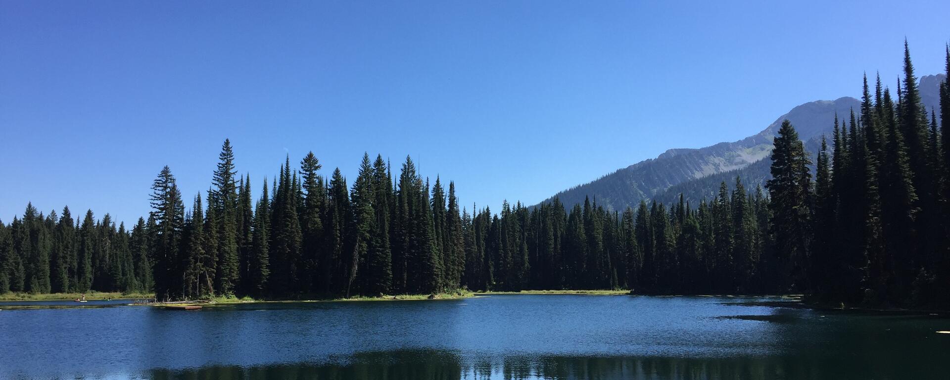 Fernie