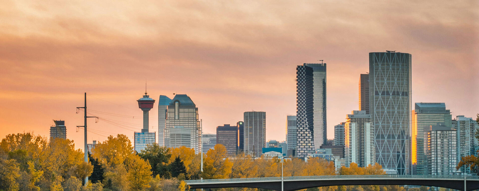 cvicu-hero-unsplash-igor-kyryliuk, Cardiac Surgical Intensive Care, CSICU, Cardiothoracic Critical Care, CTICU, ECMO, extracorporeal membrane oxygenation fellowship, ECLS, extracorporeal life support fellowship, Advanced Cardiovascular Critical Care