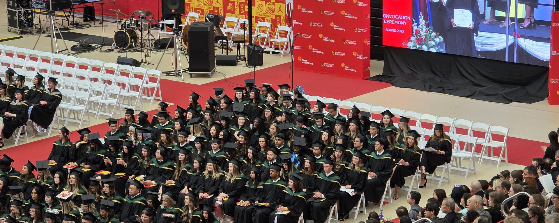 class of 2025