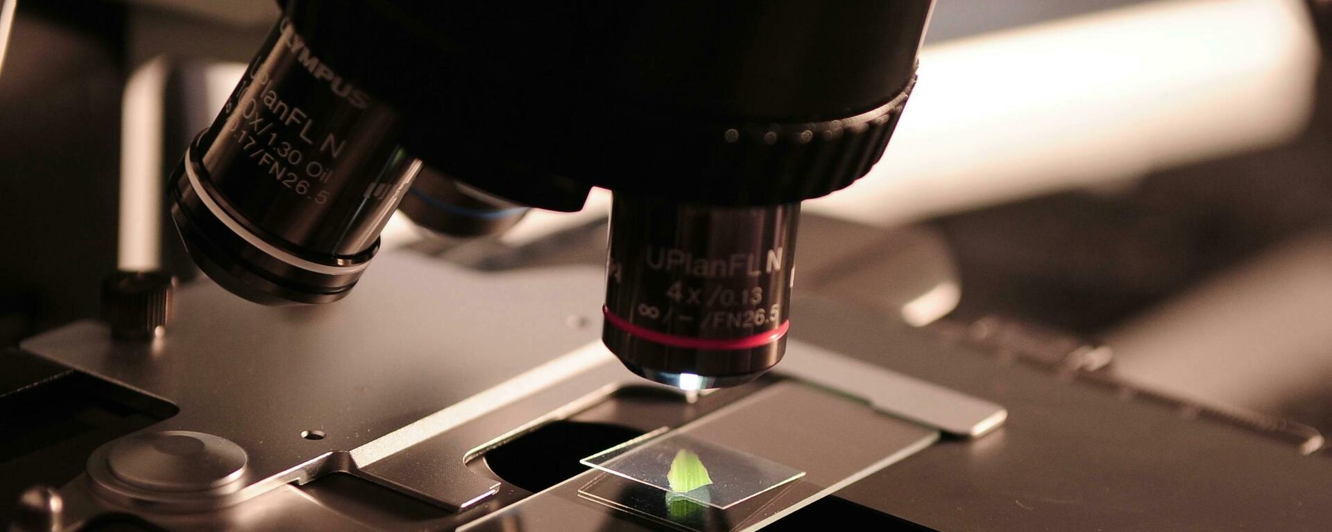 microscope