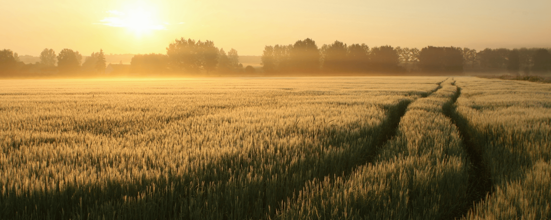 FMCE PreClerk Avail 2526