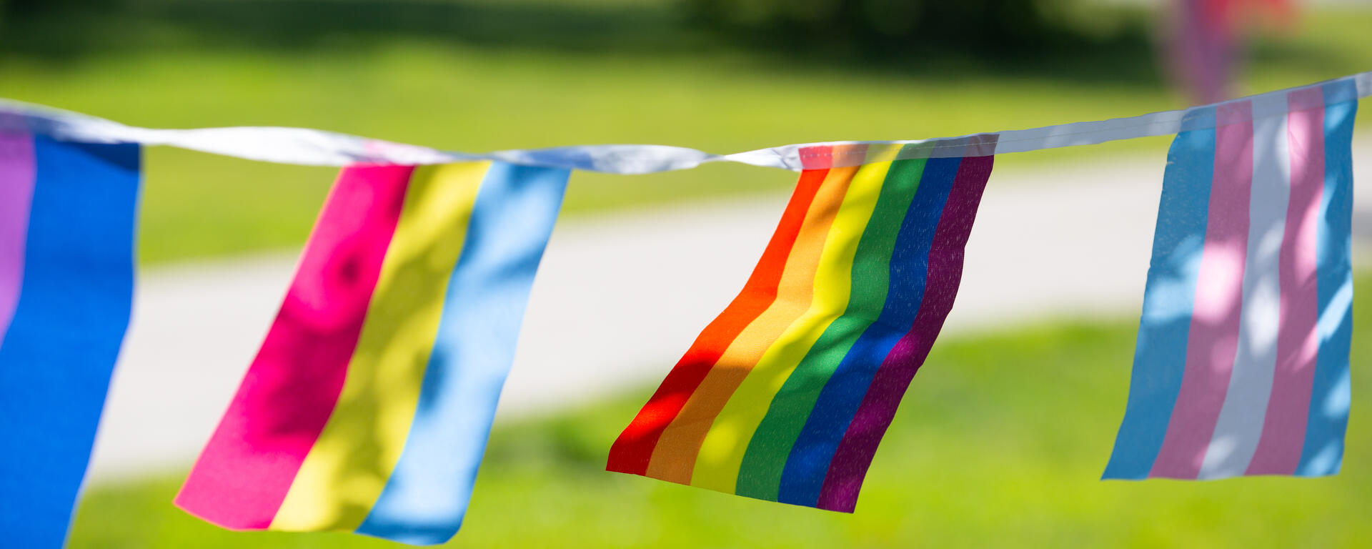 pride flags hanging on a line outside