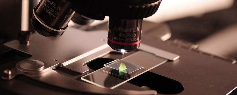 Department of Critical Care Medicine Research