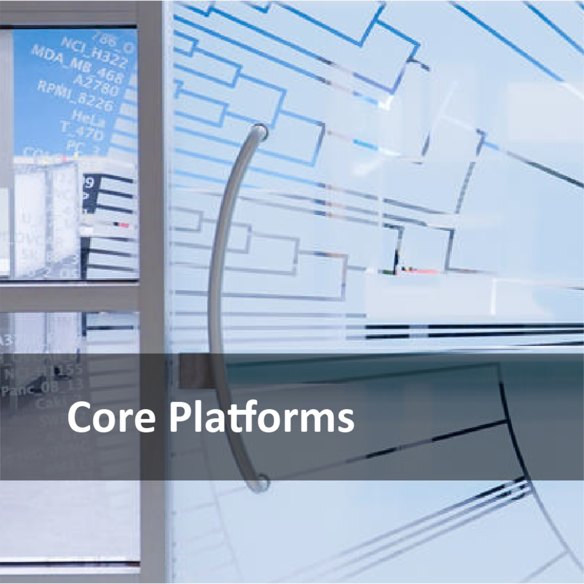 Core Platforms