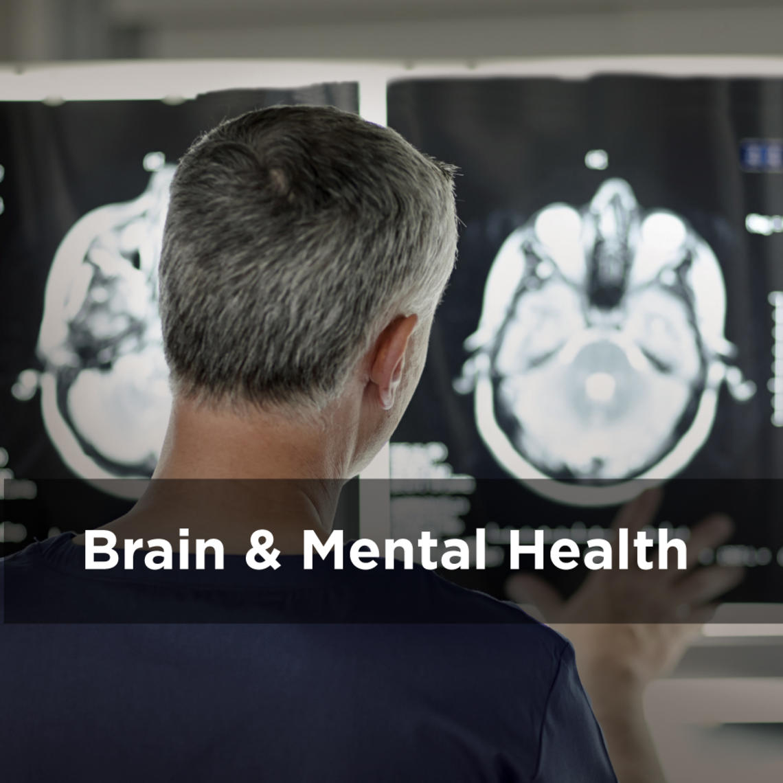 Brain & Mental Health 