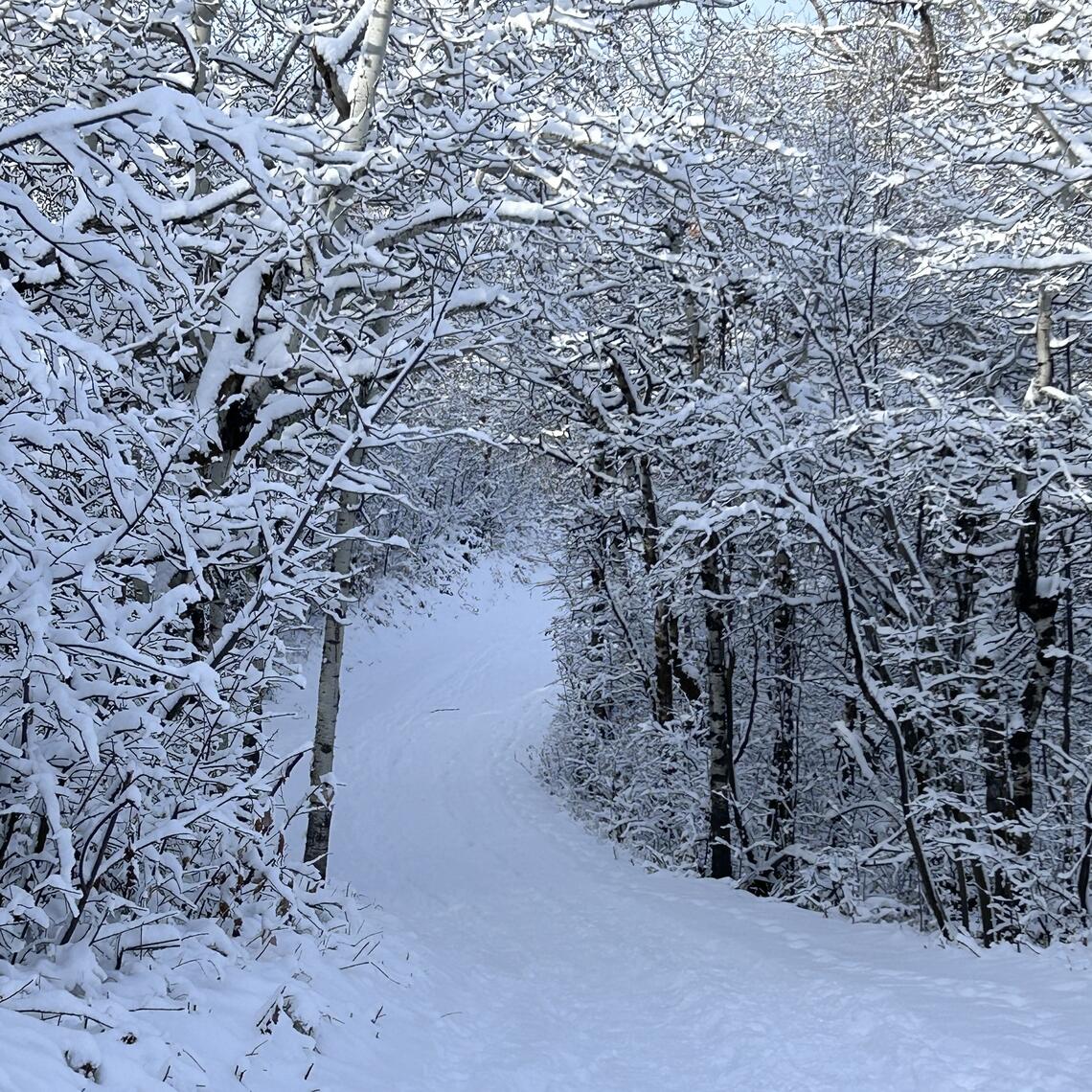 snow