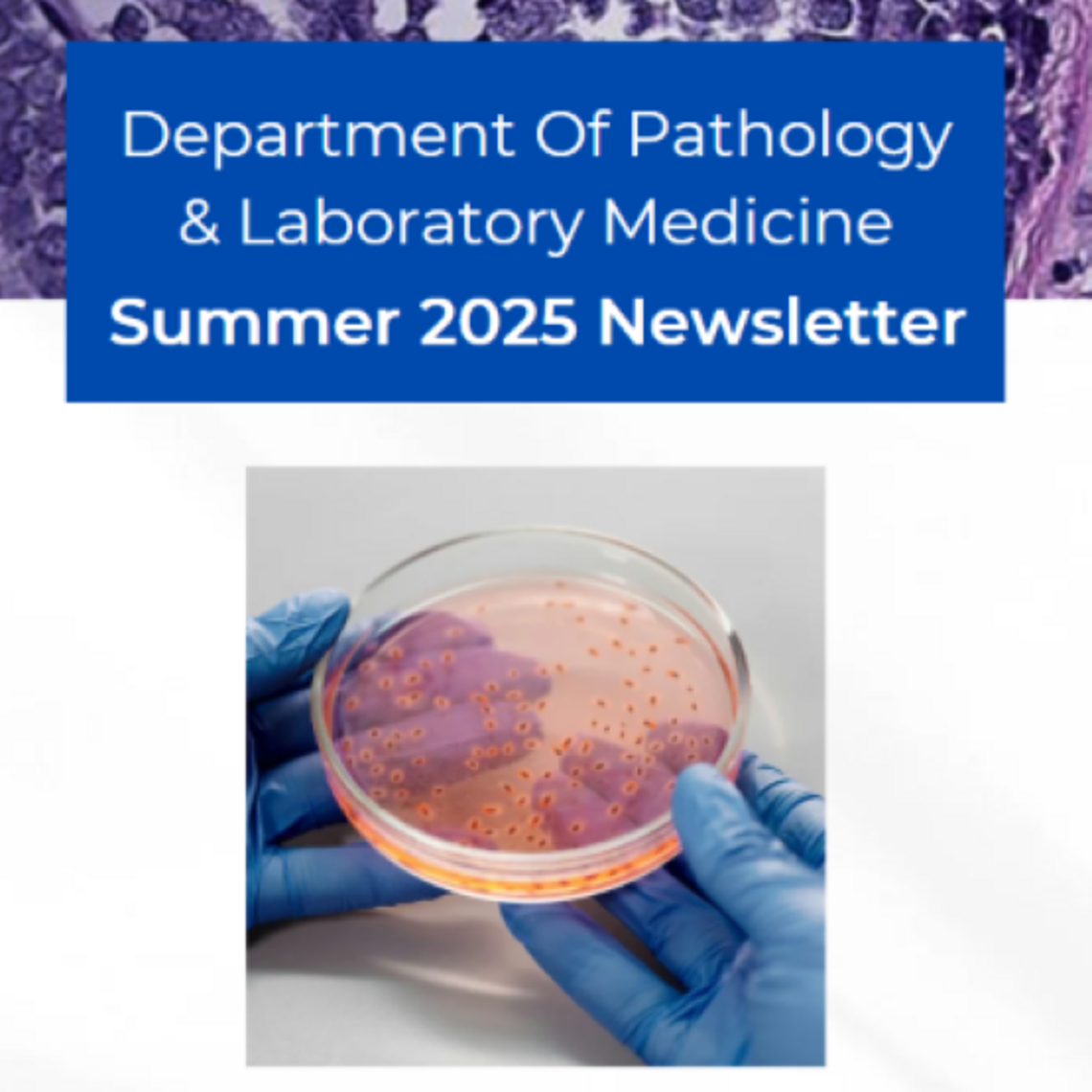 Summer Newsletter