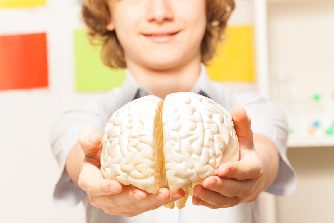 boy holding a toy brain in his hands