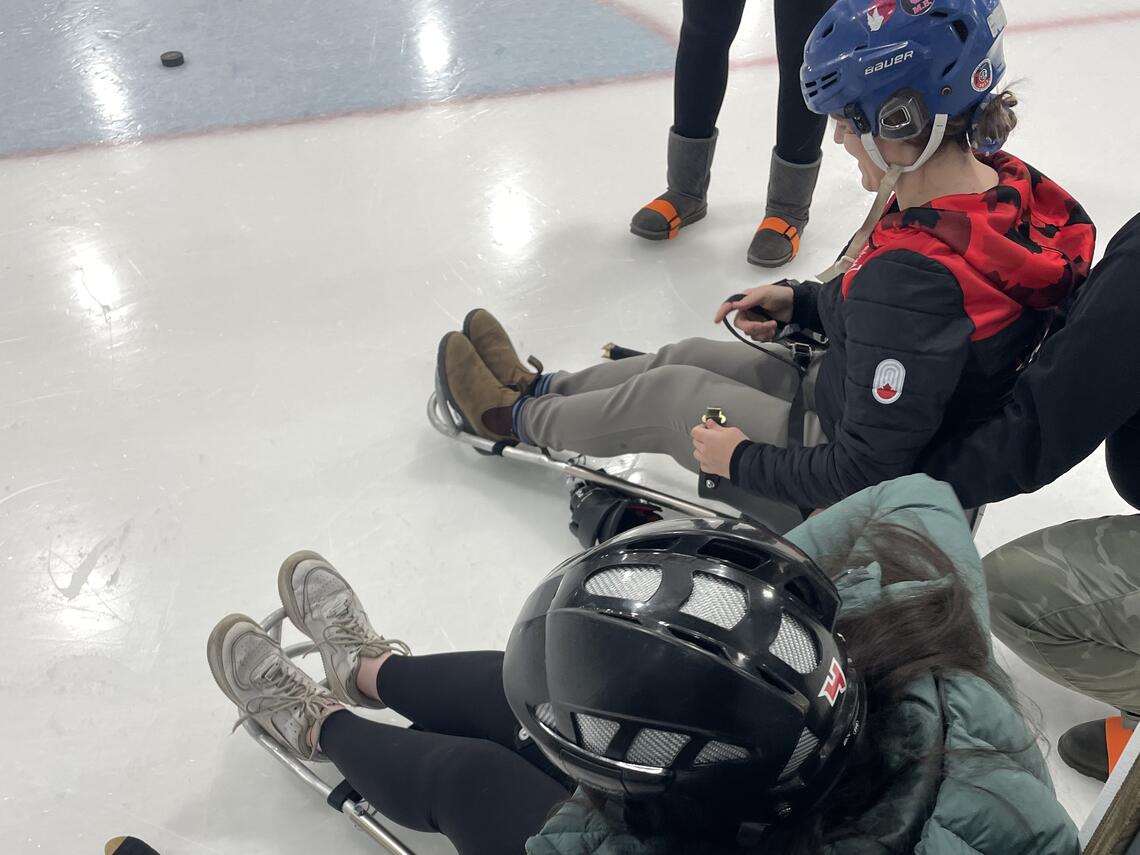 Sledge hockey players